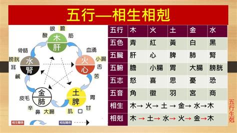 五行生剋制化|五行生克制化 五行生克制化详解